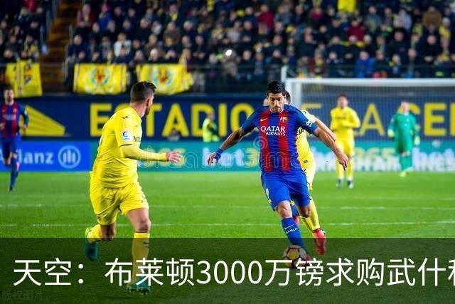 天空：布莱顿3000万镑求购武什科维奇，预计热刺对其估值超6000万